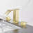 2-handle Bathroom Faucet