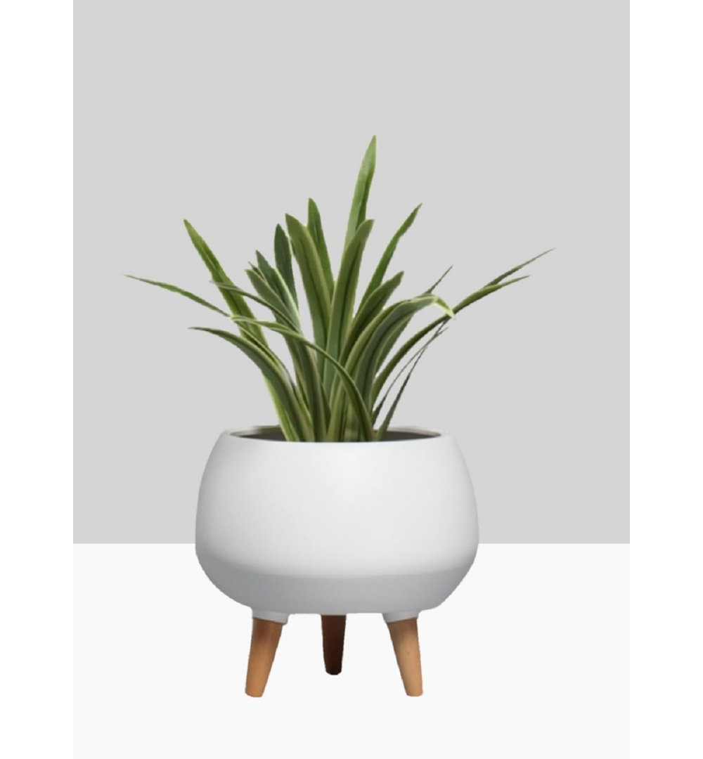 Ceramic Pot Planter George Oliver