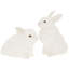 2 Piece Easter Rabbit Figurines & Collectibles Set
