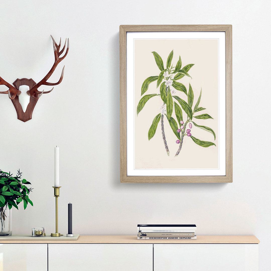 Ngaio Flowers by Sarah Featon - Framed Print