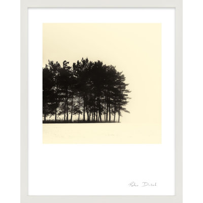 Garden Sign "Copse" Print by Peter Dušek