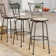 Basche Swivel Adjustable Height Bar Stool