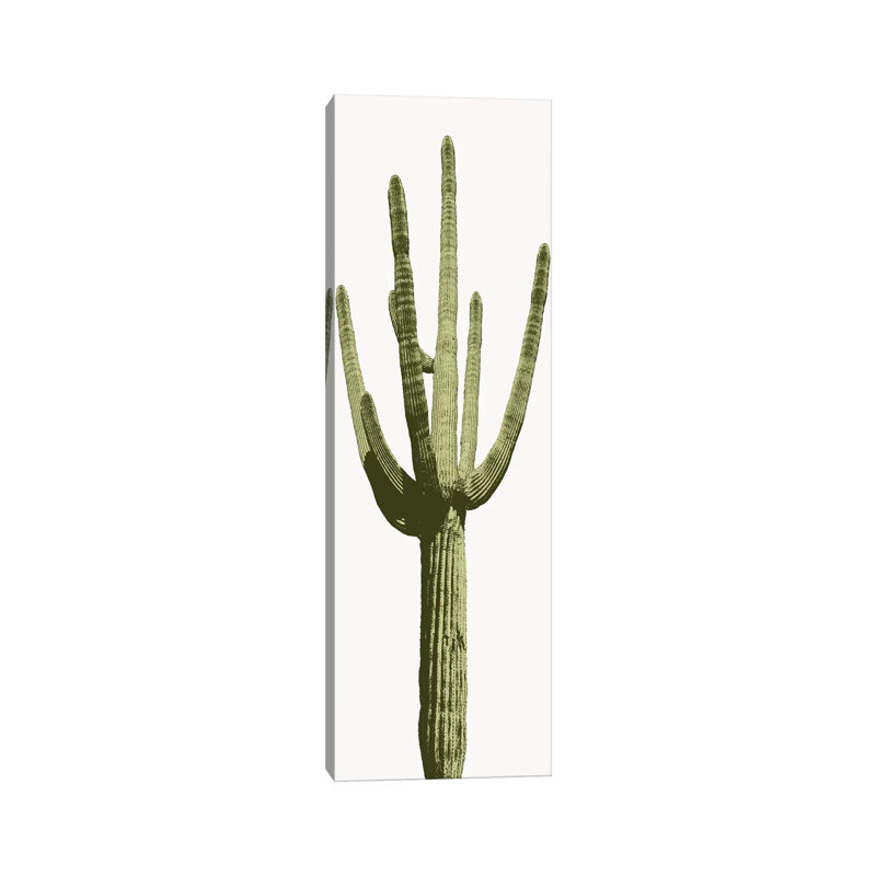 Saguaro Cactus I by Mia Jensen - Wrapped Canvas Panoramic Painting, 30.48 cm H x 91.44 cm W x 1.91 cm D