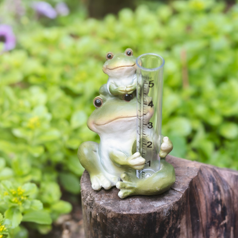 5 po Pluviomètre de table grenouille en polyrésine