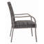 Chaise de salle à manger d'extérieur 2 pièces, structure peinte à la main, siège en coton lavé à l'eau pour le jardin, la cour et la piscine