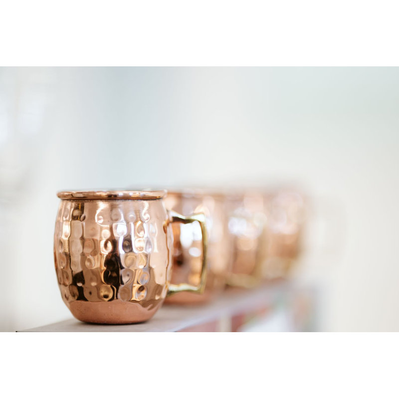 20oz. Stainless Steel Moscow Mule Mug Set