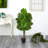 Monstera Artificial Tree UV Resistant