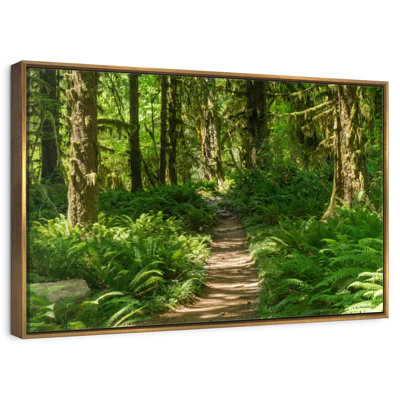 Hoh Rainforest Path