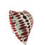 Coussin Bournville-107881664