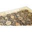 Hand Knotted Wool Area Rug in Black And Gold