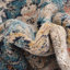 Tapis floral bleu / jaune safran / beige Akira-1461859966