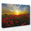 Landscape Red Poppy Meadow Sunset Photographic - Wrapped Canvas-19096286