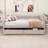 Full Upholstered Daybed with Two Drawers-1567049690