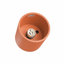 ORBIS Flush Mount-1695435988-1695436011-1695436025