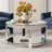Elisete Glass Coffee Table Mirrored Top with Storage