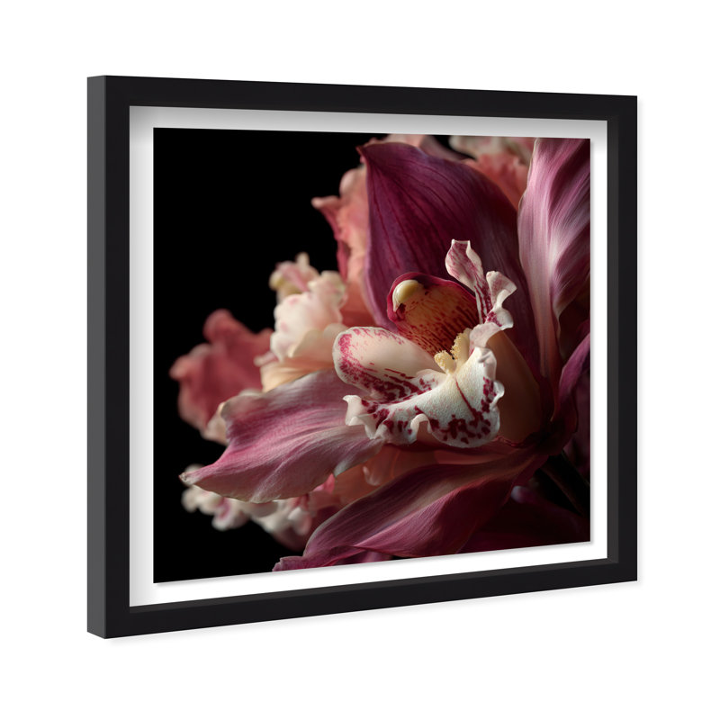 Velvet Labellum Print by Oliver Gal, 25.5"H x 25.5"W, Black Shadowbox