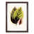 Walnut Framed