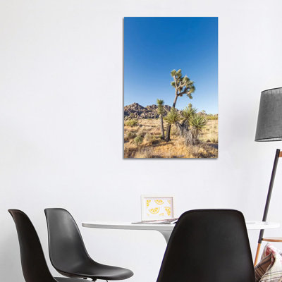 Natural Joshua Tree National Park 1 Piece Wrapped Canvas Wall Art