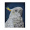 Art traditionnel sur toile, "Traditional Cockatoo Visage" par Connie Resch