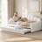 Velvet Upholstered Daybed With Elegant Shell Design And Trundle – Full Size Frame,Classic Upholstered Frame-1940419683