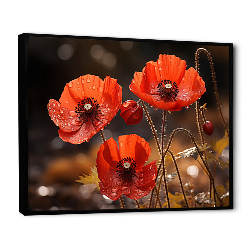 Champ de coquelicots rouges II - impression, H 30 po x l 40 po x P 1,5 po, Cadre flottant noir