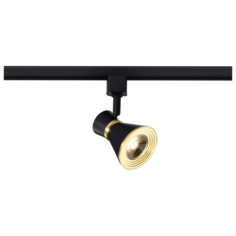 LED Track 24 Degree Beam Angle Head, Matte Black/Brushed Brass