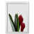 White Grain Frame