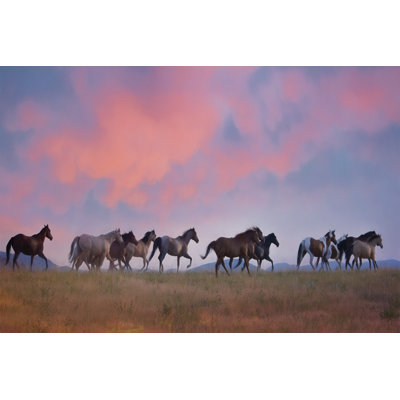 «Horse Run VIII» par PHBurchett - reproduction d'art sur toile tendue