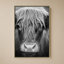 Nez de vache BW-1232874072-1232874078
