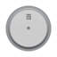Round Mirror-1081922065