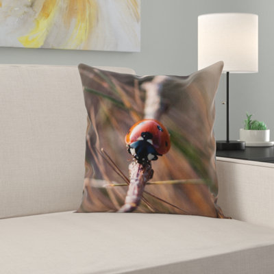 Coussin coccinelle