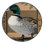 Washable Mallard Birds Area Rug