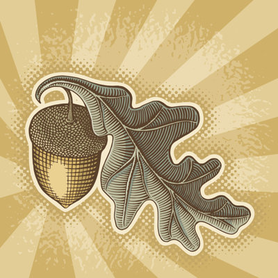 Acorn on sunbeam 1 Piece Wrapped Canvas Wall Art