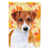 Brown Jack Russell Terrier selected