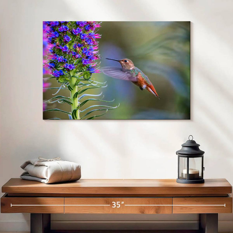 Brampt Hummingbird Feasting, 16" H x 24" W