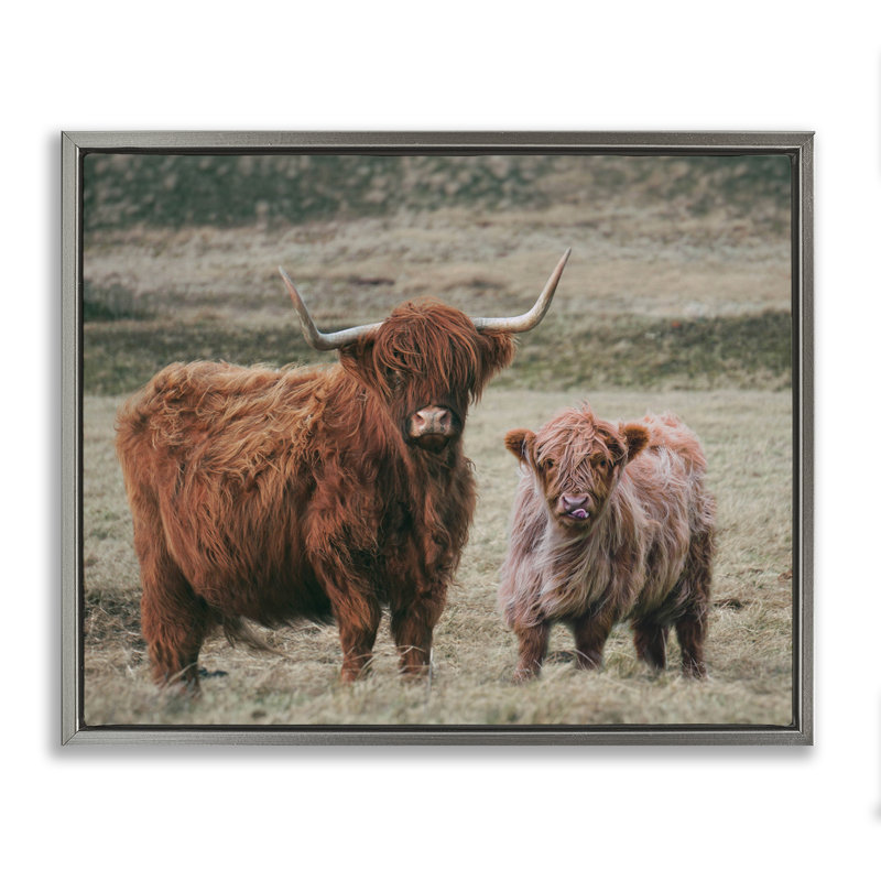 Cadre flottant maman et bébé vache, design par lettré et doublé, Cadre flottant gris lustré, H 17 po x l 21 po