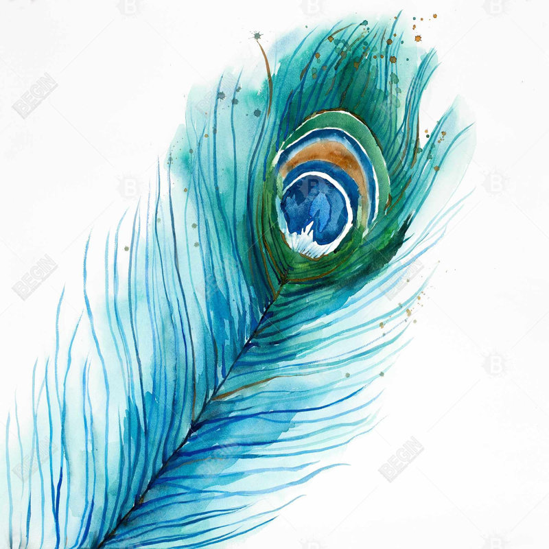 Long peacock feather - 20"x20" Throw pillow cover - Poly twill - Print on demand, 20" x 20"