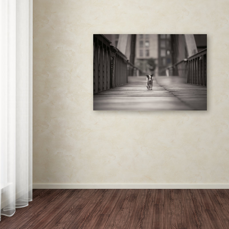 Wrapped Canvas Wall Art - Heike Willers 'You Can Go Your Own Way' Wall Art for Living Room, Bedroom, or Office Décor - 22x32