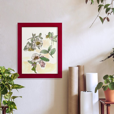Camellia Study, reproduction d'art encadrée