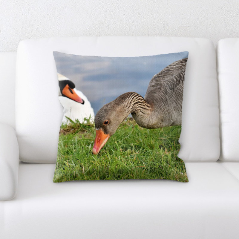 Coussin d’oie