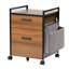 Ziolkowski 2-Drawer Mobile Vertical Filing Cabinet-1800518980