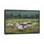 Moody Sheepscape-1740475925-1740475922-1740475923