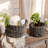 Bay Isle Home™ Jute / Sisal Box