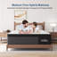 Matelas hybride mi-ferme 14 po avec mousse à mémoire de forme et ressorts ensachés, matelas dans une boîte-431244429-431244417