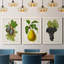 Antique Fruit VI - ensemble de 3 reproductions d'art sur toile-1071139948-1071139947