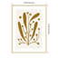 Simple Botanical IV by Becky Thorns Wood Framed Wall Art Print-100672294