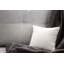 Insert de coussin extérieur Hartsburg-142779834