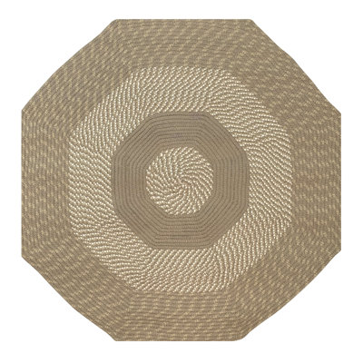 Arcelia Polypropylene Striped Braided Area Rug - Tan
