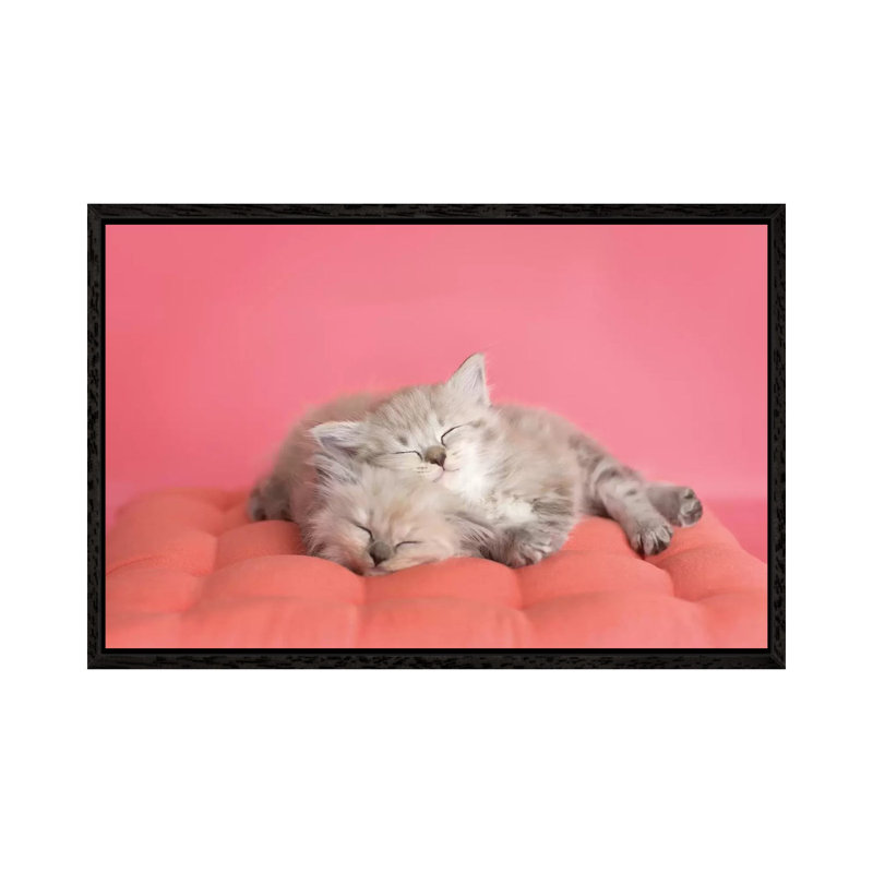 Chloe And Zoe by Rachael Hale - Print on Canvas, Black Framed, 66.04 cm H x 45.72 cm W