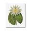 Art floral texturé sur fond de nénuphar rétro-69578700-69578699